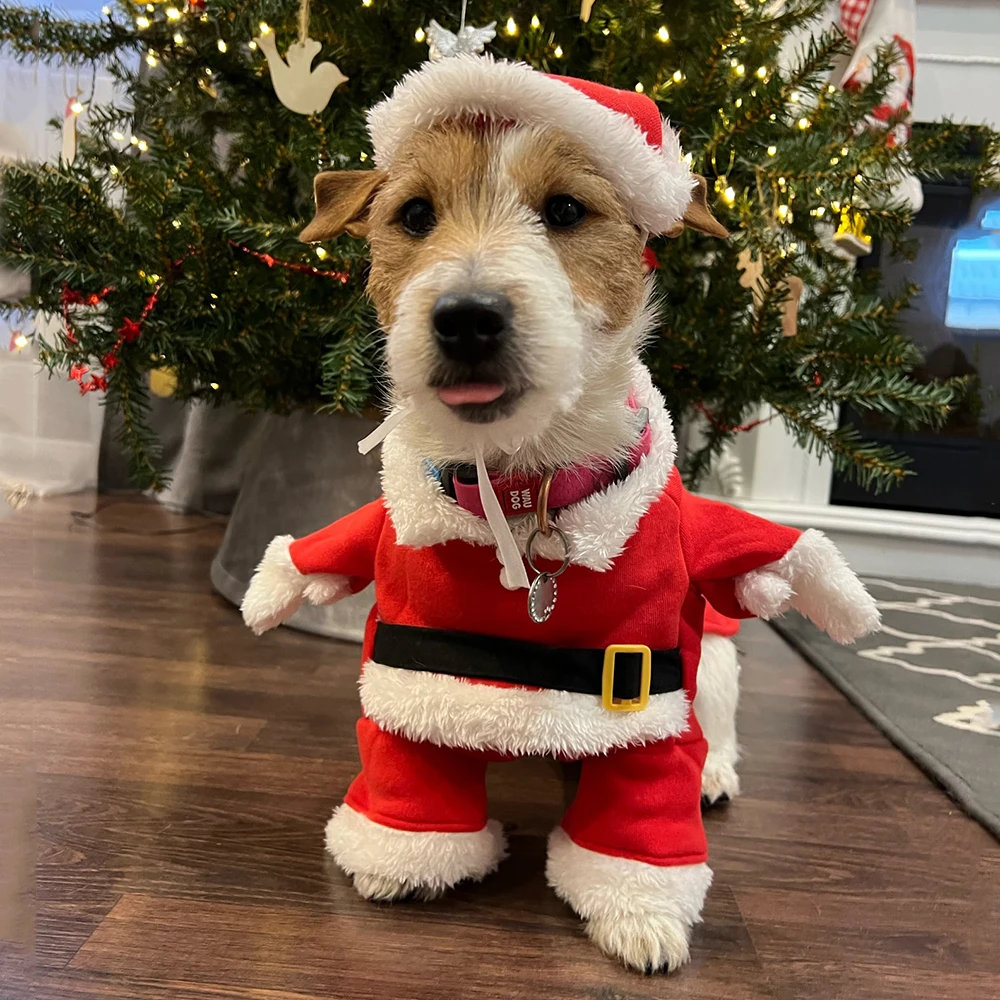 Christmas Clothes For Dogs Cat - Winter Clothing Dress Up avaliação e preço